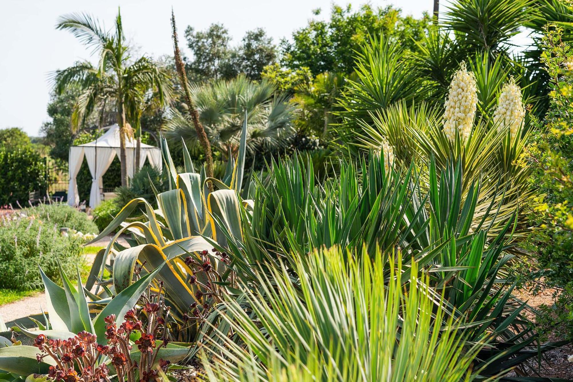 Donna Coraly Country Boutique Hotel Arenella  Esterno foto